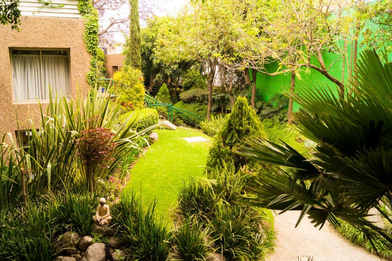 Suite 4A, Terraza, Garden House, Welcome To San Angel México DF Exterior foto